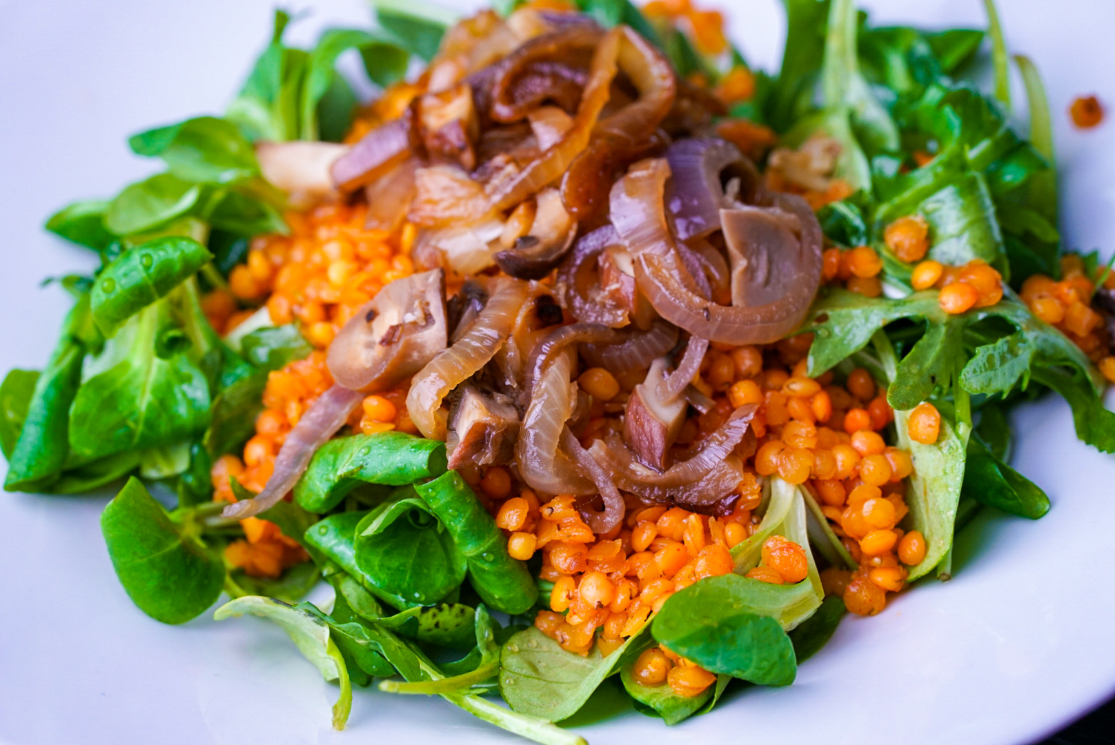 Linsen auf Salatbett mit Champignons und Zwiebel - SMARTh Fit me