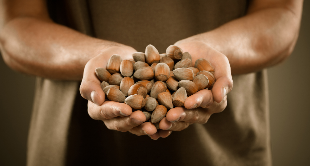 Birnen-Müsli mit Haselnuss - SMARTh Fit me Birnen-Müsli mit Haselnuss - SMARTh Fit me